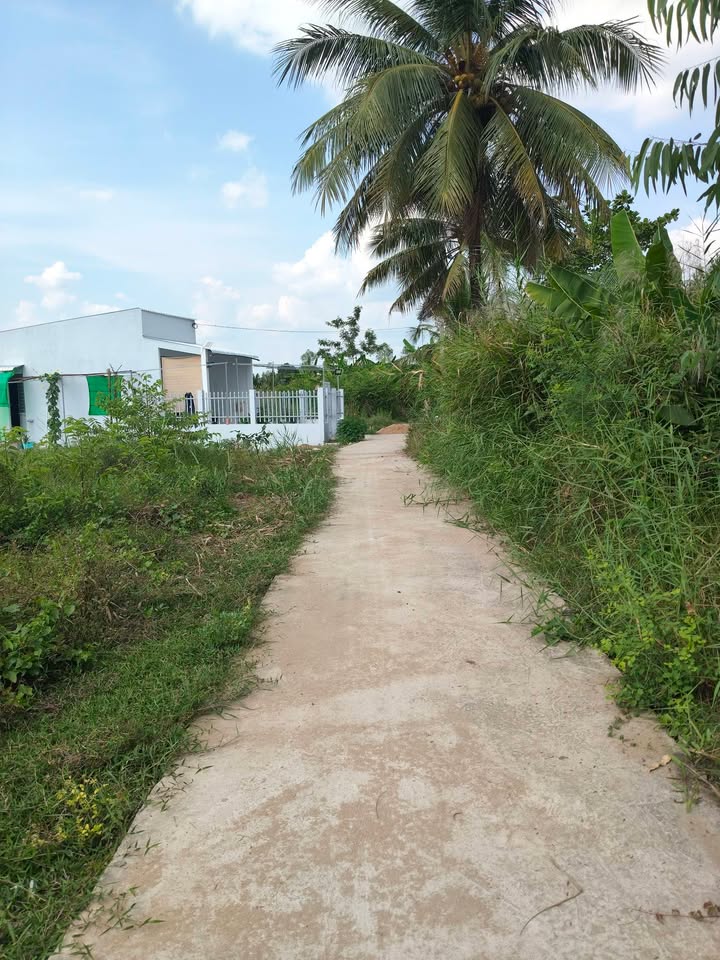 Đất nền Thị trấn Cái Nhum 649m² giá 270 triệu - Tiềm năng tăng giá vượt trội!