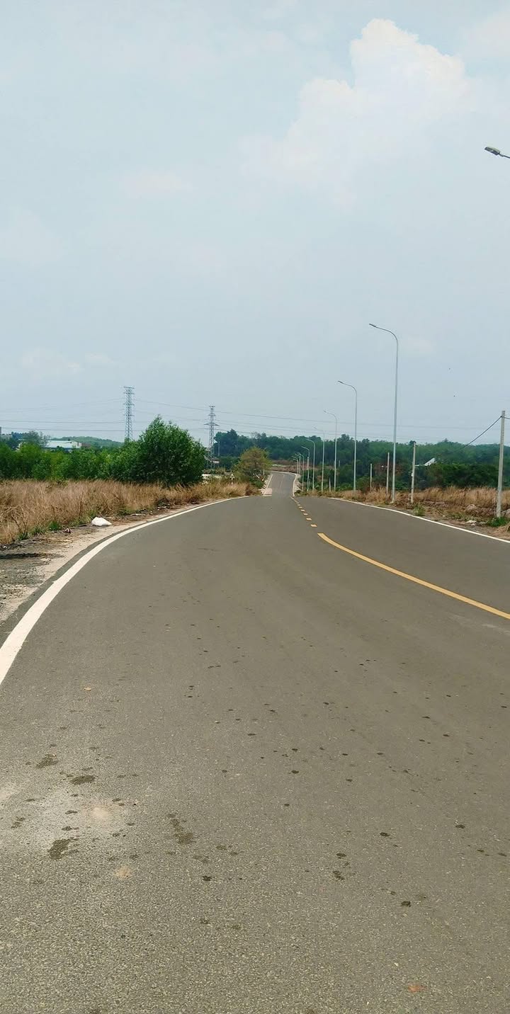 Bán Đất Mặt Tiền Đường Nhựa 1000m² Bình Tân - Giá 1.7 Tỷ