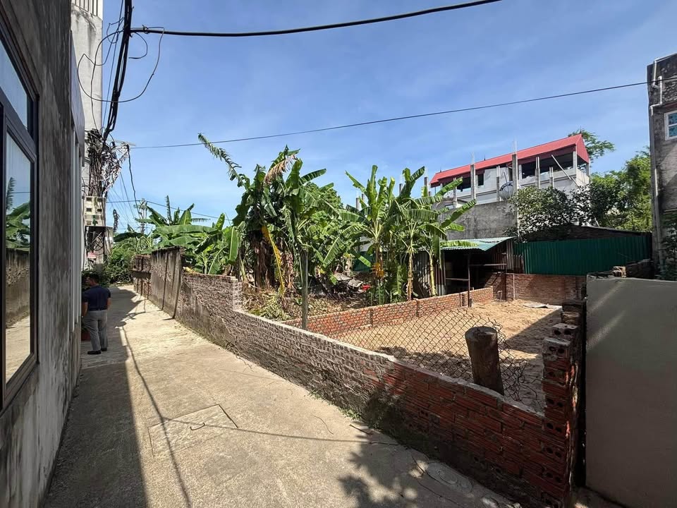 Đất nền Cán Khê Đông Anh 67m² - Tiềm năng tăng giá vượt trội!