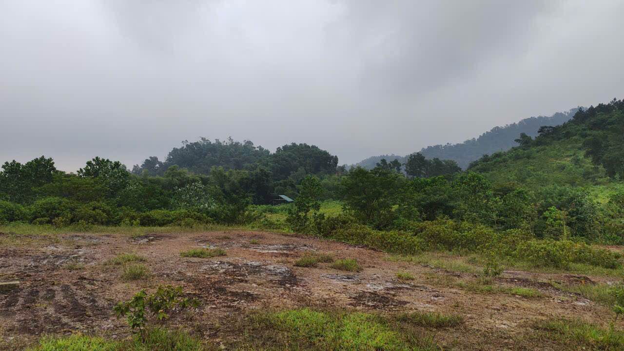 Đất Vườn Ba Vì 41000m² Sổ Đỏ Chính Chủ - View Thoáng Đẹp