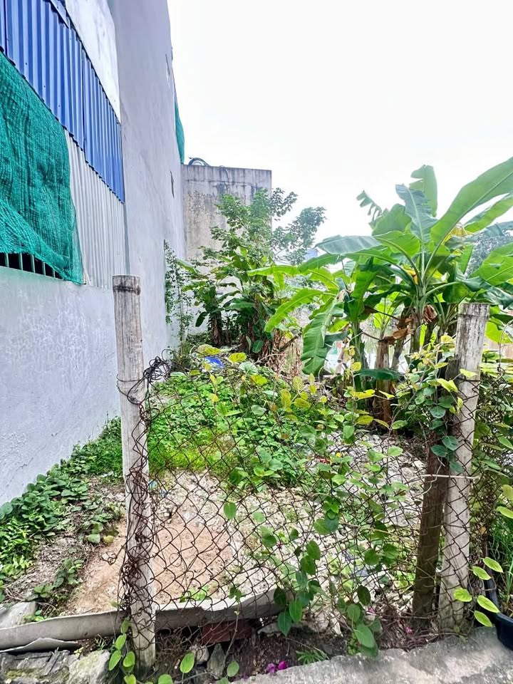 Đất Nền Phường Lộc Vượng, Nam Định - 51.7m² Giá 1.35 Tỷ, Sẵn Sổ Đỏ