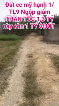 Bán Gấp Đất Sổ Hồng Riêng 120m² Tại Hòa Thành, Tây Ninh - Chỉ 970 Triệu