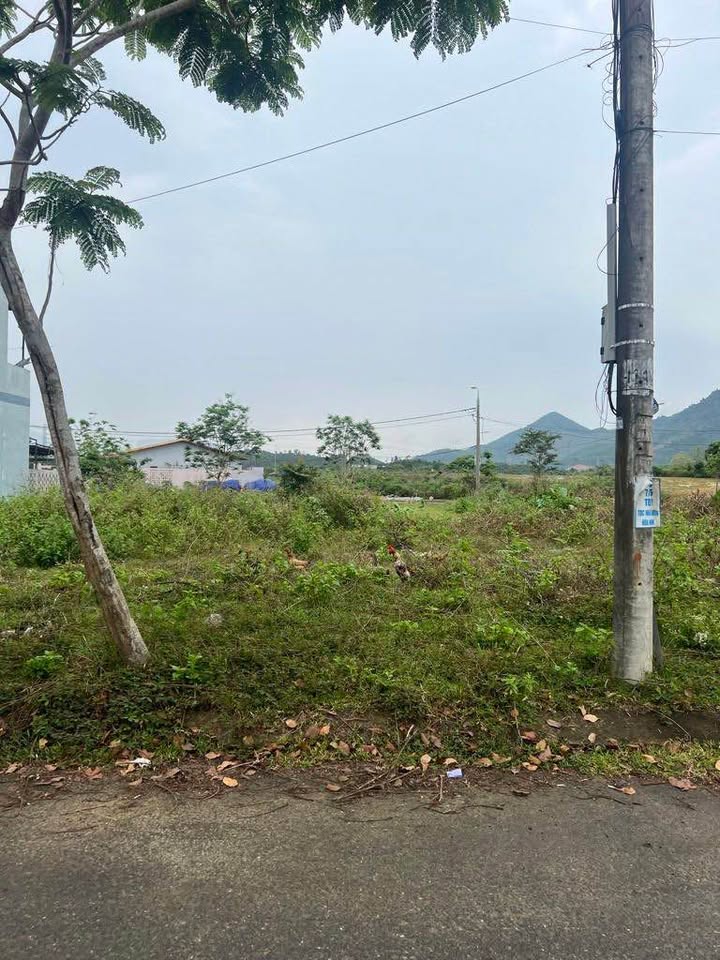 Đất Nền Ngũ Hành Sơn Đà Nẵng 99m² - An Cư & Đầu Tư Lý Tưởng