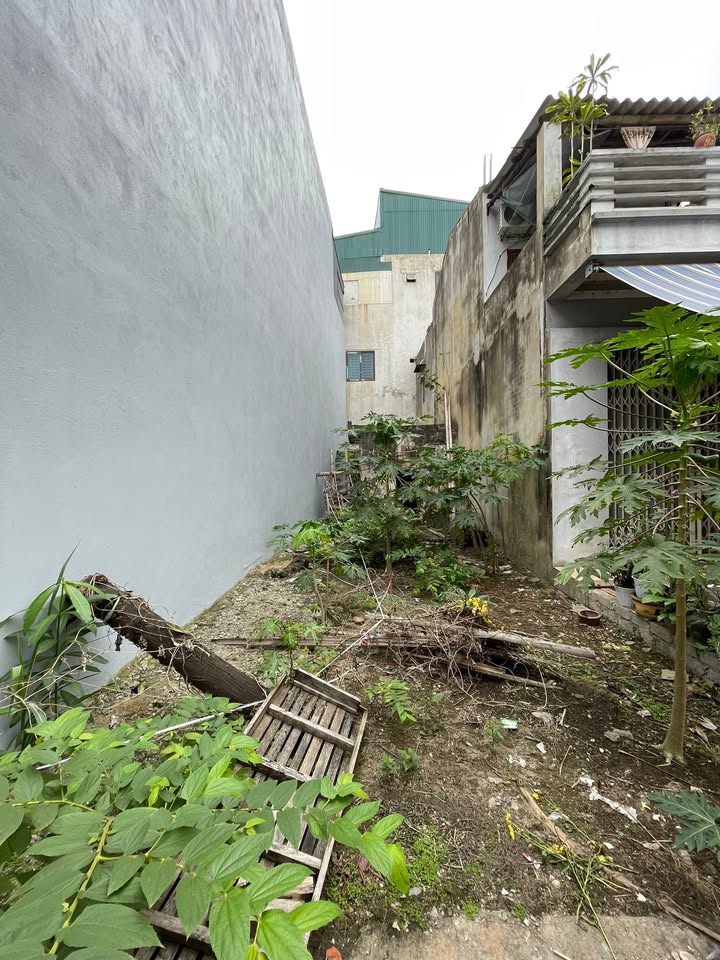 Đất Sổ Đỏ Phường Đông Vệ - 71m² Ngõ Ô Tô Thông, Trung Tâm TP Thanh Hóa