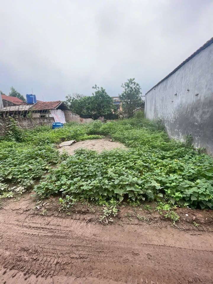 Đất nền Đông Ninh Khoái Châu 102m² - Tiềm năng tăng giá vượt trội!