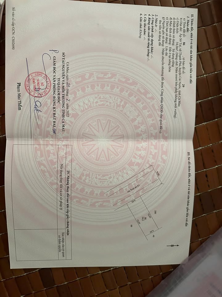 Đất nền Chợ Nhà Phấn Thạnh Phú Cà Mau 54m² - Sổ đỏ chính chủ