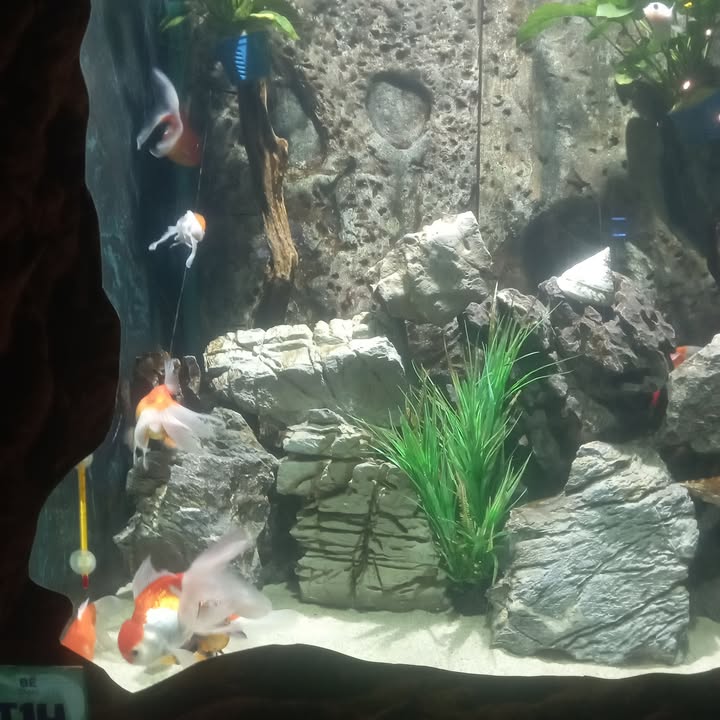 Đất nền Vũ Quý 253.9m² - Tiềm năng tăng giá vượt trội!