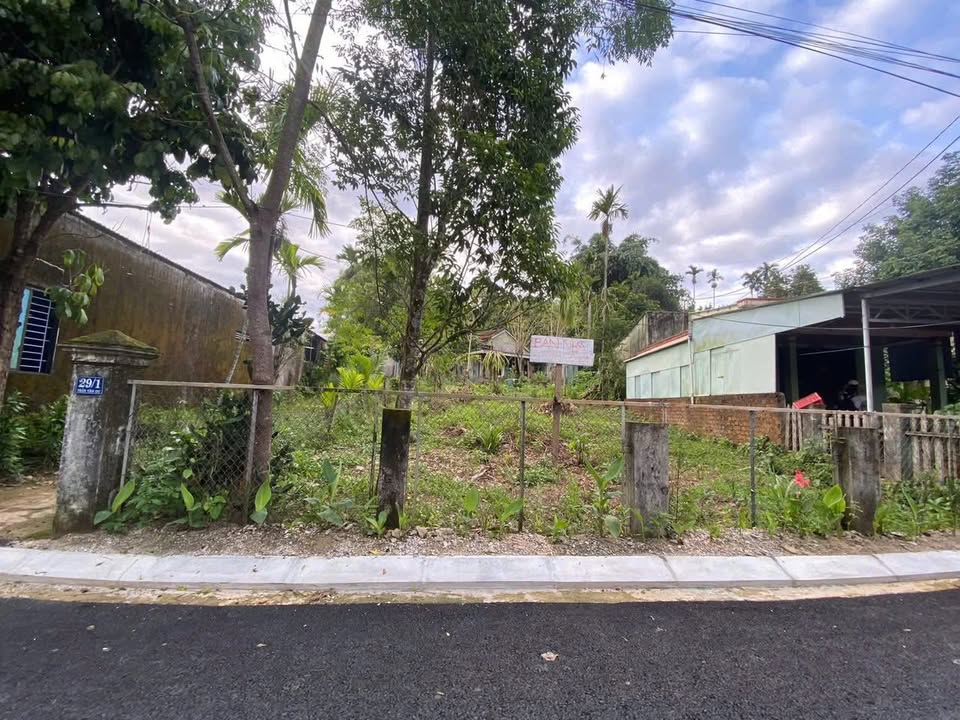 Đất nền Trà Mai 1000m² – Tiềm năng tăng giá vượt trội!