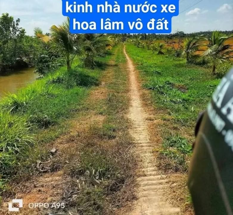 Bán Gấp Đất Ruộng 3600m² Trà Vinh - Sổ Đỏ Giá 690 Triệu