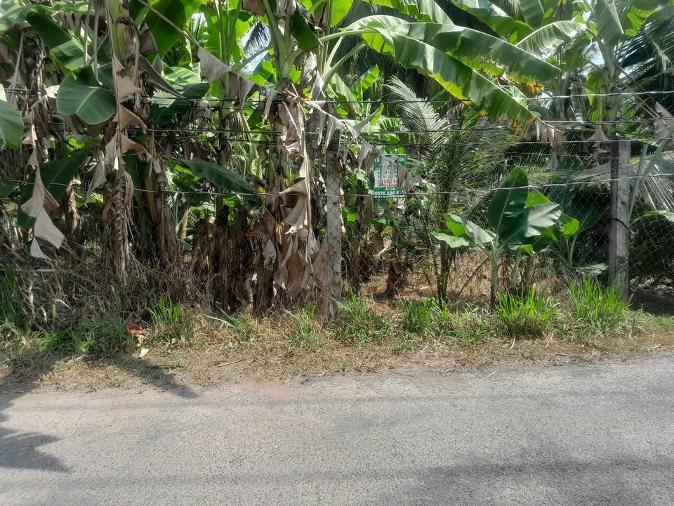 Đất nền mặt tiền nhựa 110m² tại Trà Vinh - Giá 160 triệu, thương lượng chính chủ