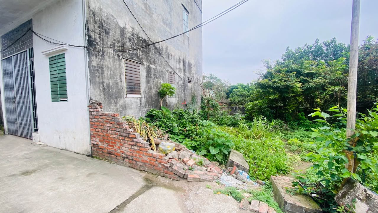 Đất Nền Vũ Thư, Thái Bình - 40m² Sổ Đỏ, Ngõ Ô Tô 1.1 Tỷ