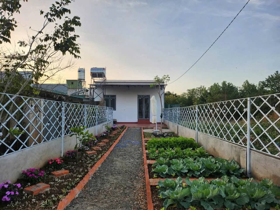 Nhà Hẻm Y Wang 155m² Ea Kao - Sẵn sàng ở ngay, sổ hồng riêng!