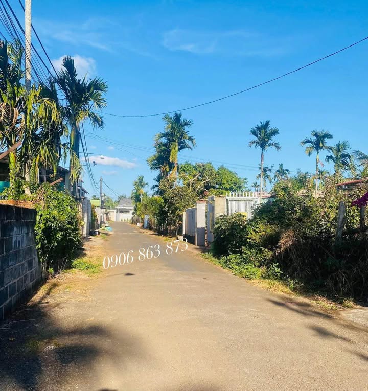 Đất Vàng 387m² Đường Nhựa, Sổ Thổ Cư Tại Phường Tân Hòa, Buôn Ma Thuột - Chỉ 2.61 Tỷ