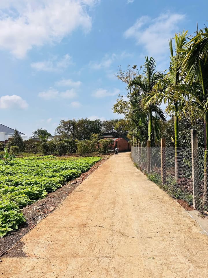 Bán Đất Thổ Cư Full Sổ Đỏ Ea Kao, Buôn Ma Thuột - 171m² Hướng Tốt