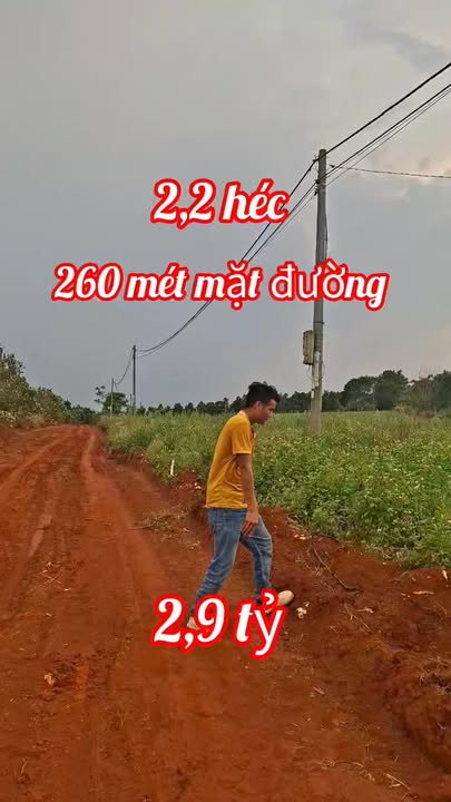 Đất vườn Đức Bình Tây 2,2ha 2,9 tỷ - Sổ đỏ chính chủ