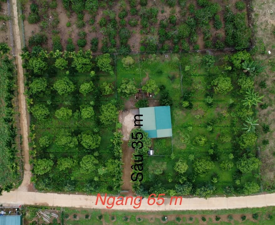 Đất nền Ea H'leo, Đắk Lắk - 2275m² - Sổ đỏ sẵn sàng, giá đầu tư