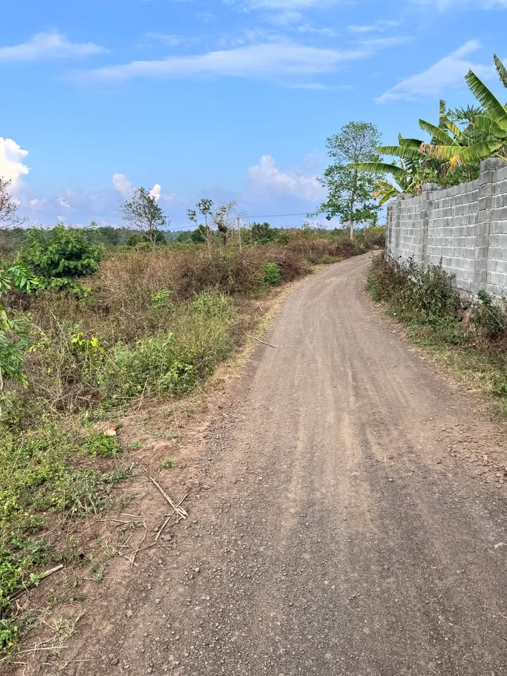 Đất nền Phường BMT, BMT 44m² giá 1.299 tỷ - Đường to ô tô tận nơi!