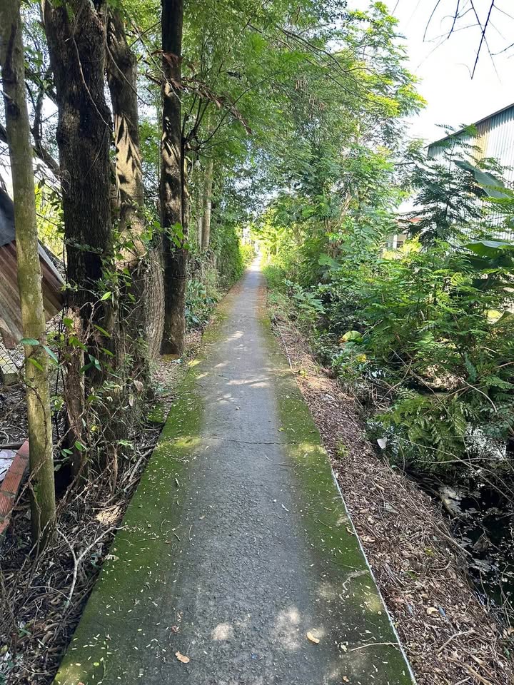 Đất vườn Phường 7, TP Tân An 267m² giá 600 triệu - Đầu tư dài hạn!