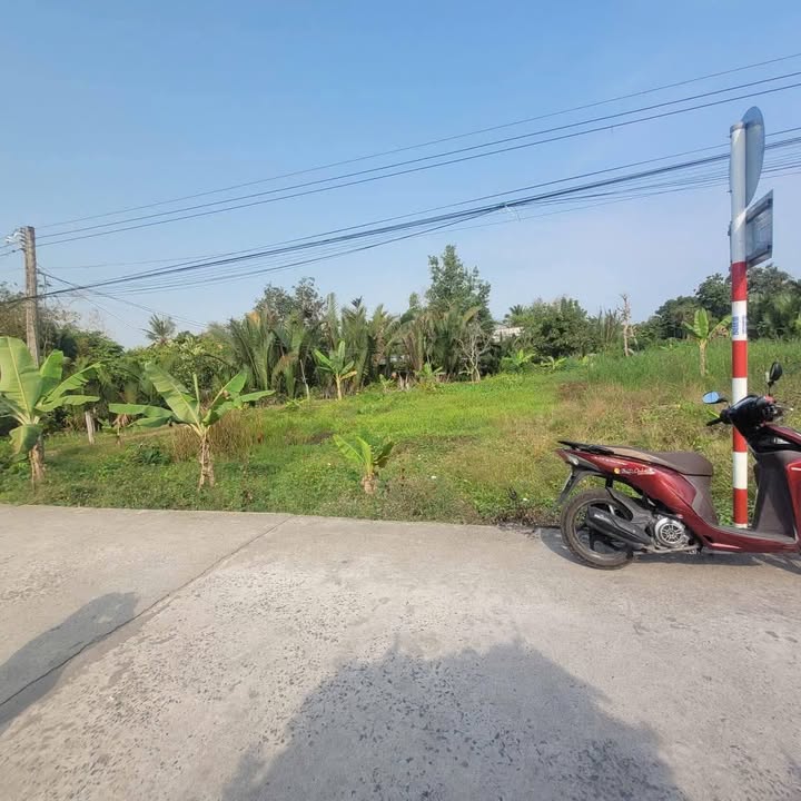 2 Nền Thổ Cư Phong Điền Cần Thơ 154m² - Lộ Ô Tô, Giá Đầu Tư