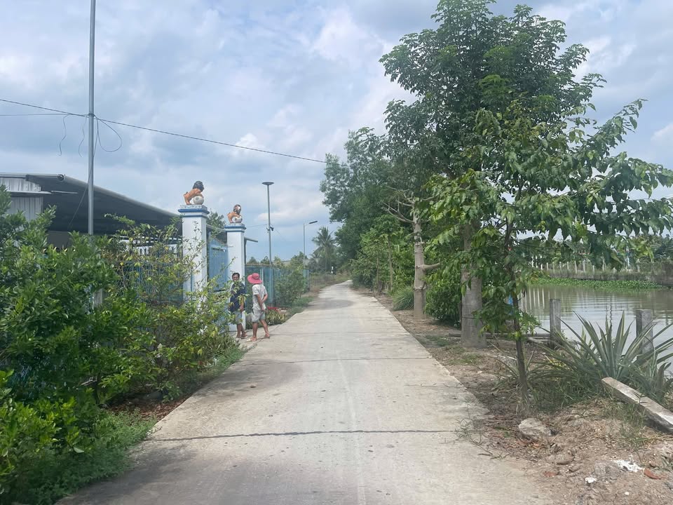 Farm Sầu Riêng Monthong Hậu Giang 30.215m² - Giá 20 Tỷ Thương Lượng