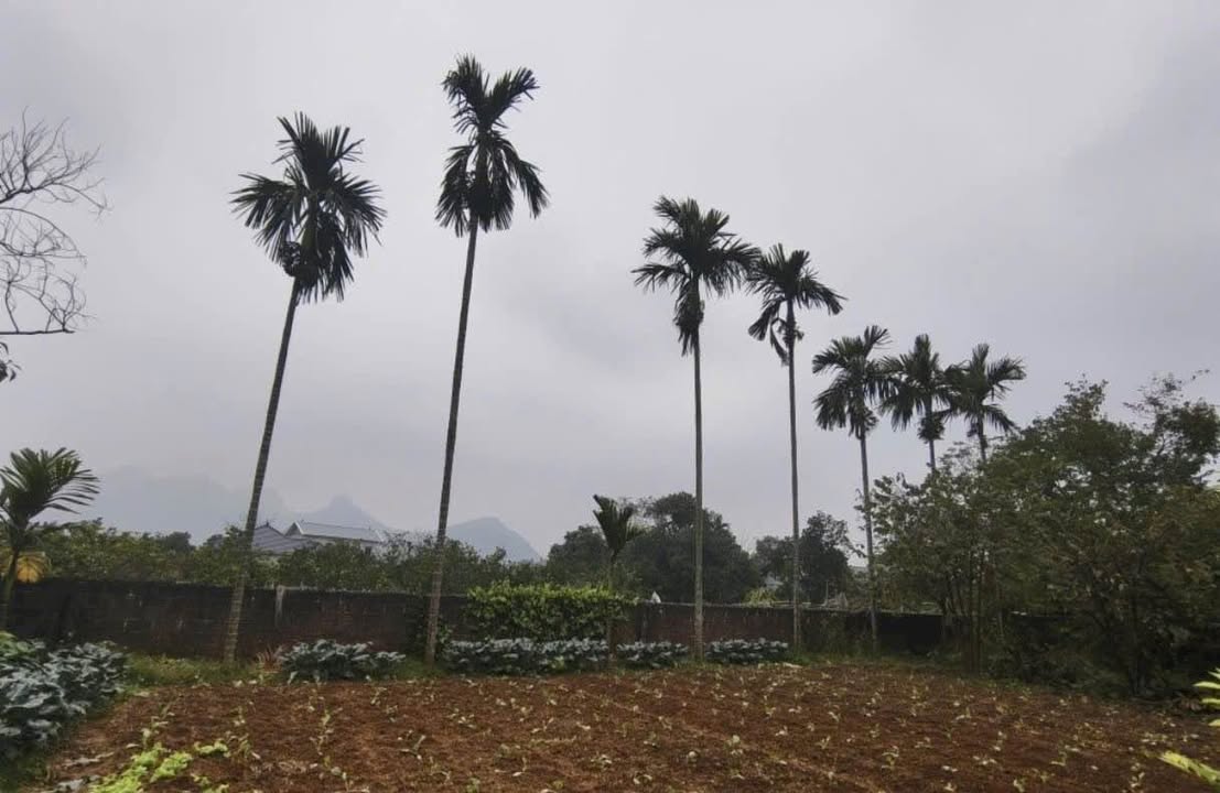 Đất vườn Phú Cát, Quốc Oai 400m² - Nghỉ dưỡng lý tưởng!