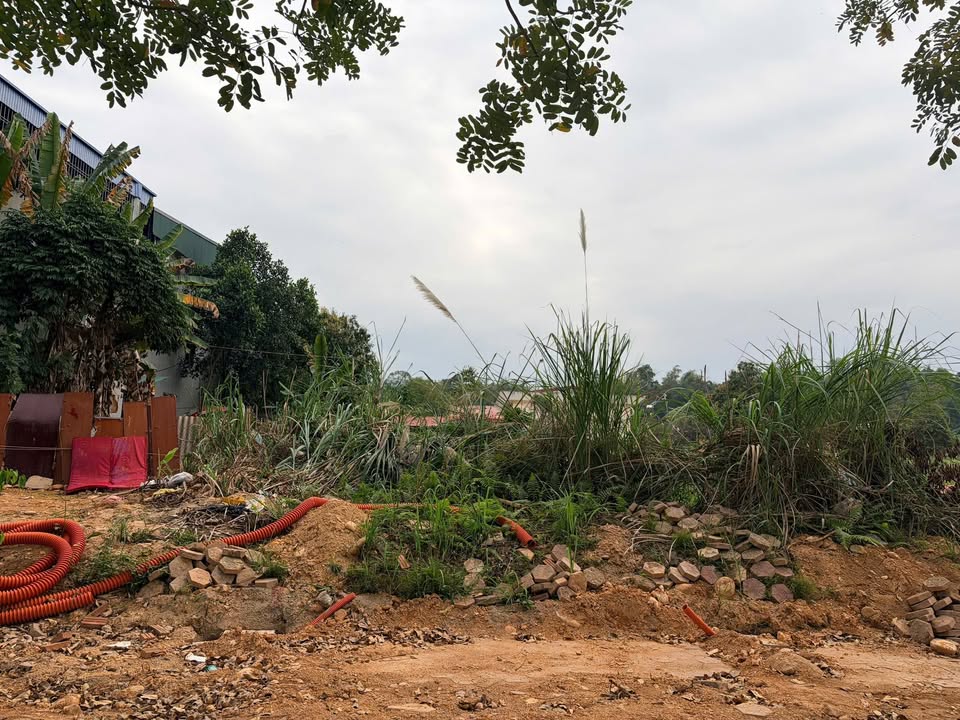 Đất Vàng Võ Nguyên Giáp Lào Cai 98.7m² - Kinh doanh/Ở, Sổ Đỏ