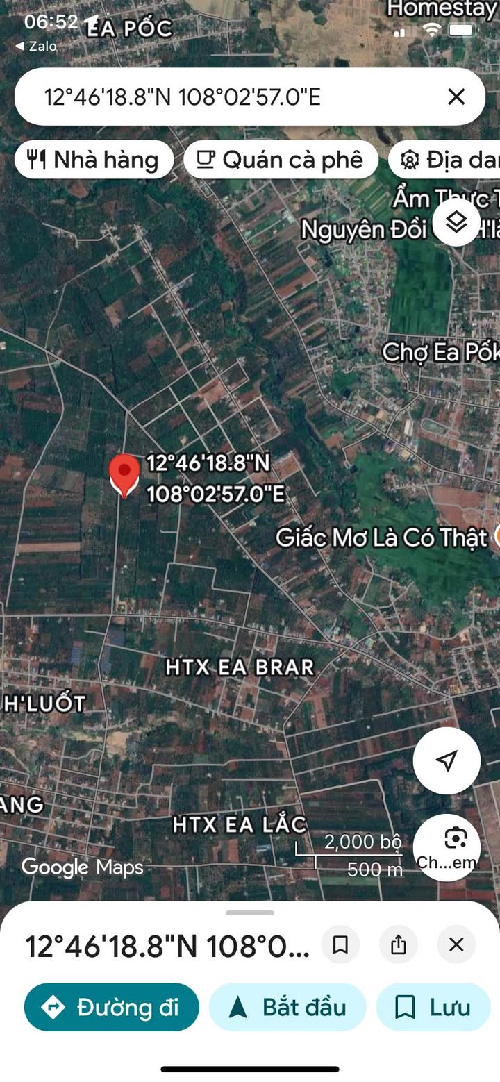 Bán Rẫy Cafe 6000m² Mặt Tiền Rộng Tại Cư Suê, Cư M'gar - Giá Đầu Tư 2.9 Tỷ