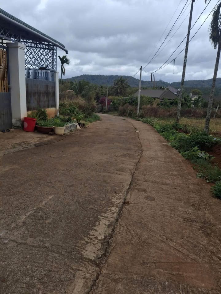 Đất thổ cư 175m² Đại lộ Đông Tây, BMT - Chỉ 1.4 tỷ, Bớt lộc