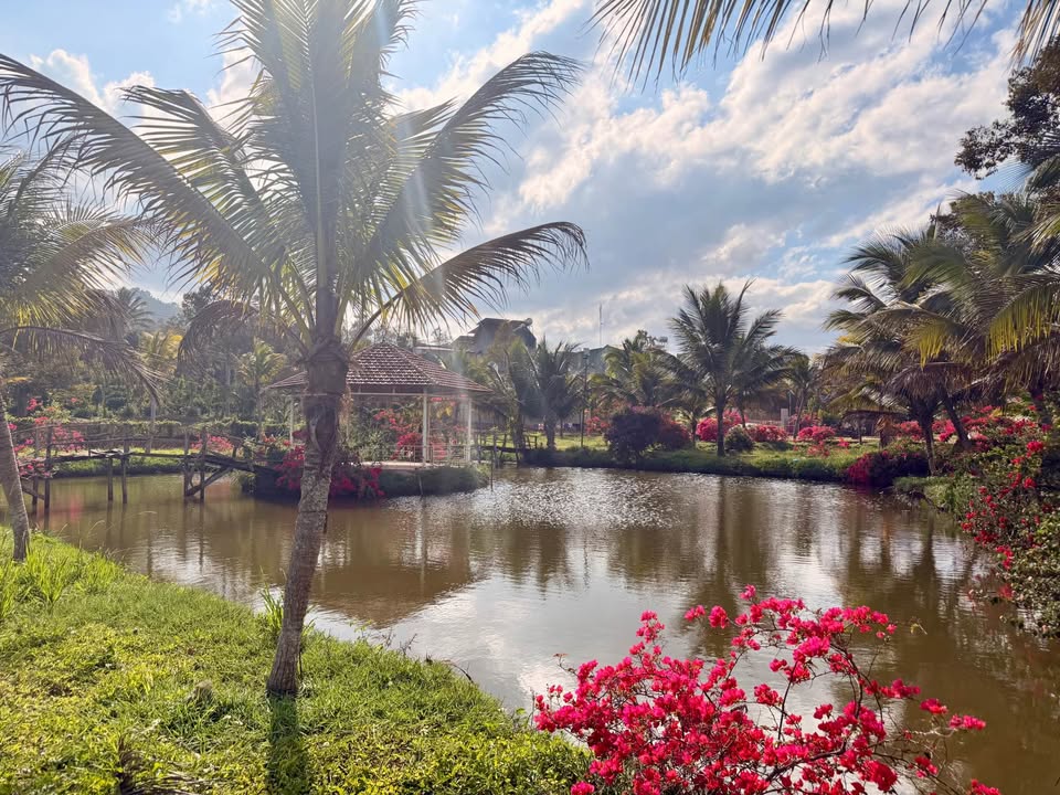 Đất vườn Thuận An, Đắk Mil 2160m² 4.7 tỷ - Nghỉ dưỡng lý tưởng!