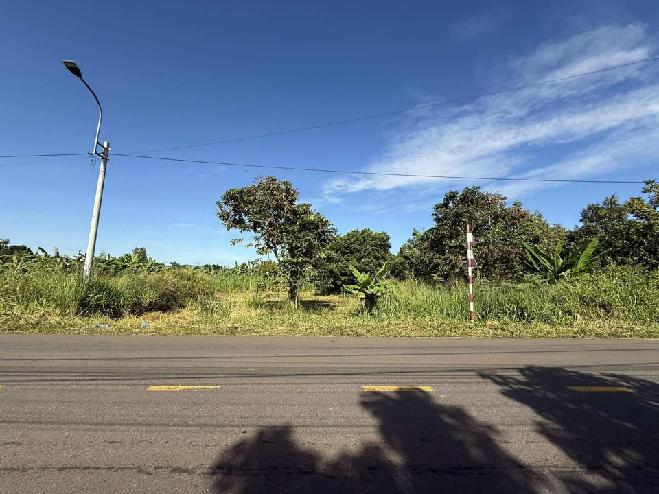 Đất Mặt Tiền Suối Chồn, Long Khánh 234m² - Sổ Riêng, Giá 1.45 Tỷ