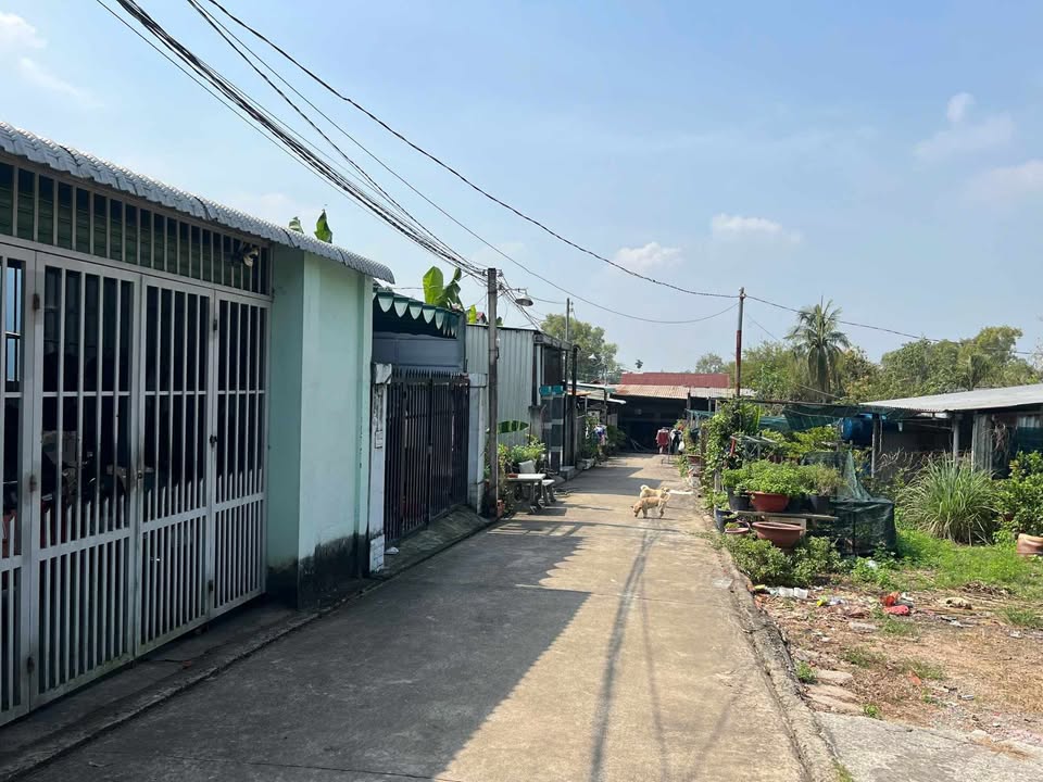 Đất nền Tân An, Thủ Dầu Một 100m² giá 1.5 tỷ - Sổ đỏ chính chủ!