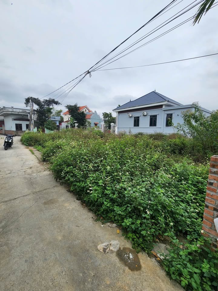 Đất nền Kiều Hạ Quốc Tuấn 60.5m² - Sổ đỏ chính chủ, giá 1 tỷ