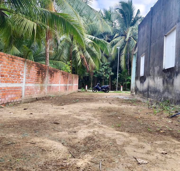 Đất nền Chợ Lách Bến Tre 127.7m² - Sổ đỏ sẵn, ô tô vào tận nơi!