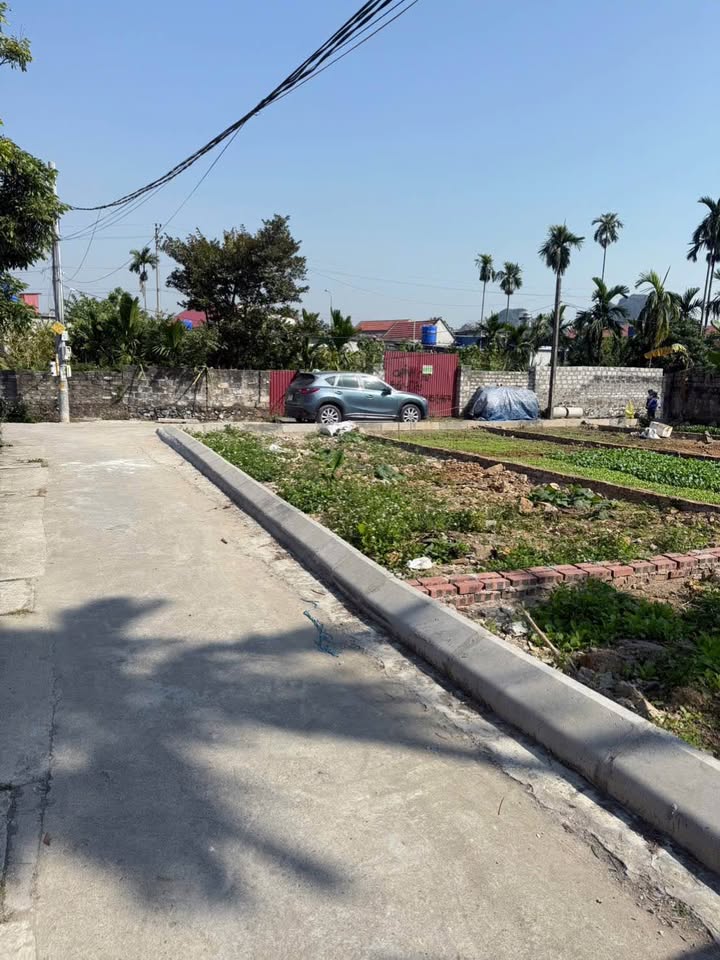 Bán đất P. Lưu Kiếm, Thuỷ Nguyên 66.8m² - Ngõ ô tô, Sổ hồng