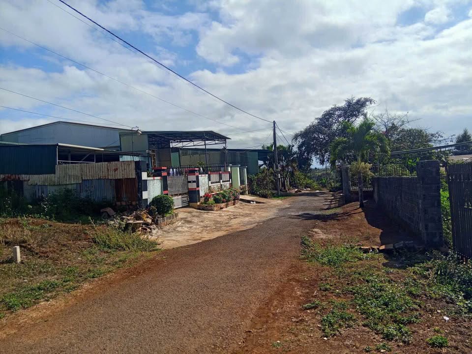 Đất Thôn 4, Phường Hoa Lư, TP Pleiku 300m² - Đất thổ cư 100%