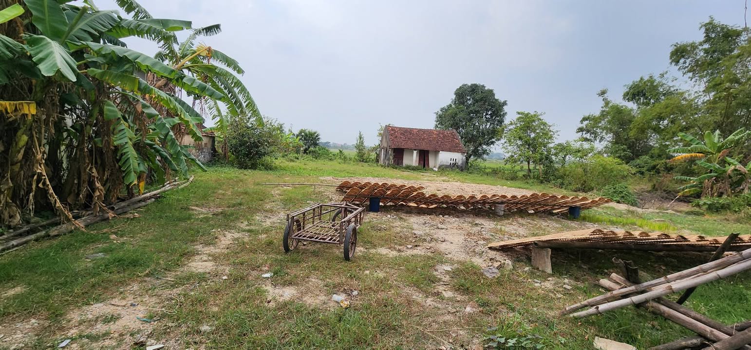 Đất nền Thành phố Thanh Hóa 1500m² giá hơn 3 tỷ - Đường to ô tô vào tận đất!