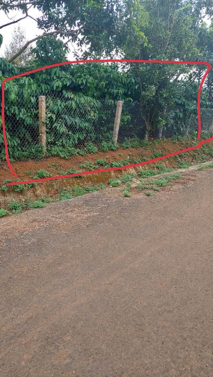 Bán Đất Nền 100m² Xã Hòa Ninh, Di Linh - 2 Mặt Tiền, Sổ Đỏ, Giá 3.2 Tỷ