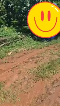 Đất nền Bảo Lâm 1.2ha - Sổ đỏ chính chủ, tiềm năng sinh lời!