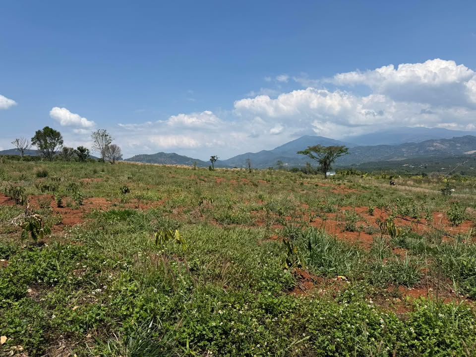 Đất vườn Di Linh 1.800m² giá 1 tỷ - Sinh thái xanh