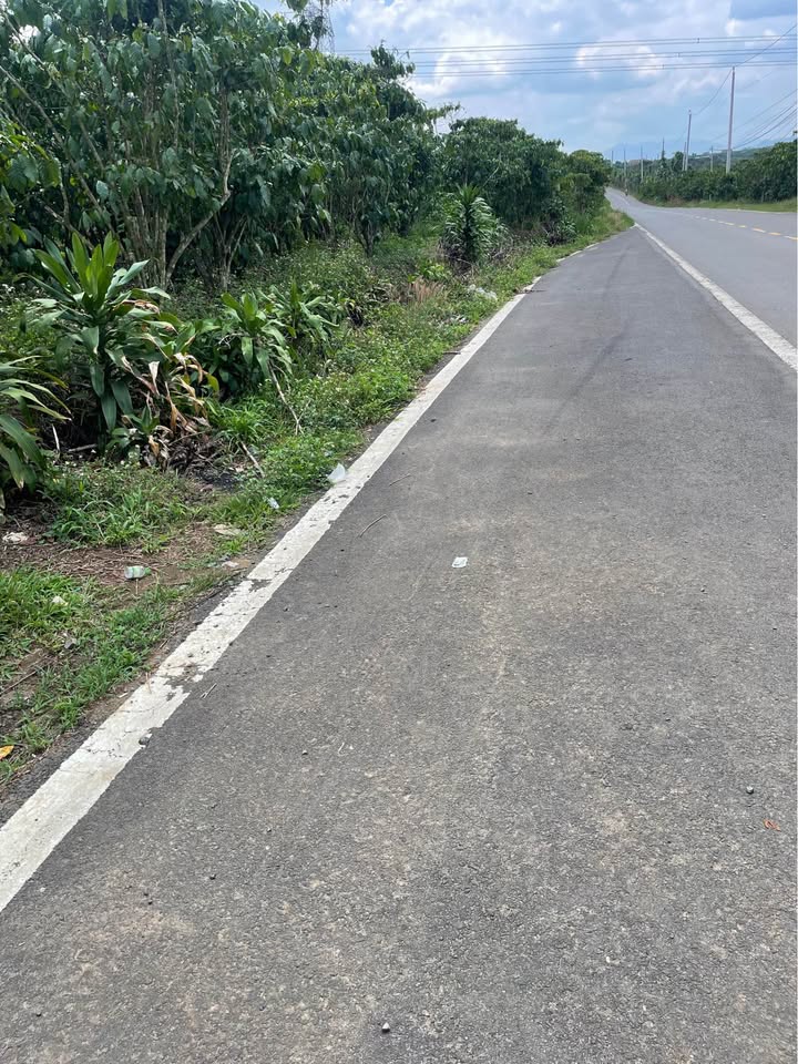 Đất nền Huyện Tuy Đức 864m² giá 384 triệu - Đường to ô tô