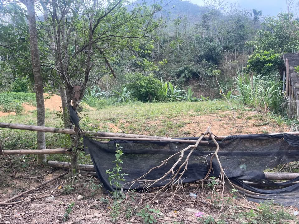 Đất nền Cao Sơn, Phú Thọ 500m² - Sổ đỏ chính chủ, giá 689 triệu!