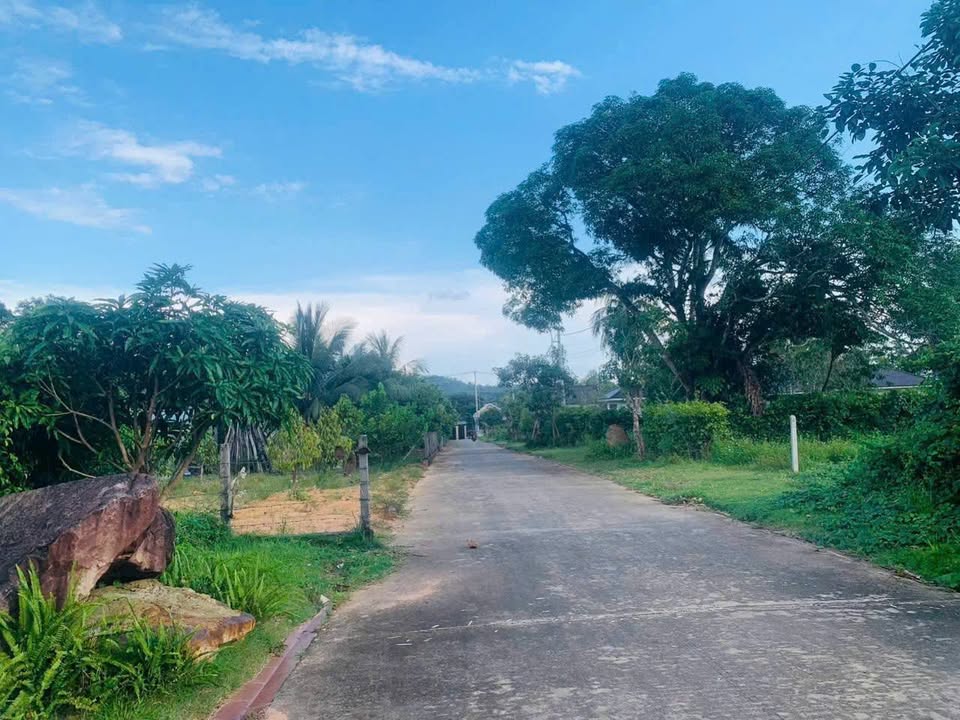 Lô đất biệt thự 576m² Đường Búng Gội Phú Quốc - Xây dựng tự do!