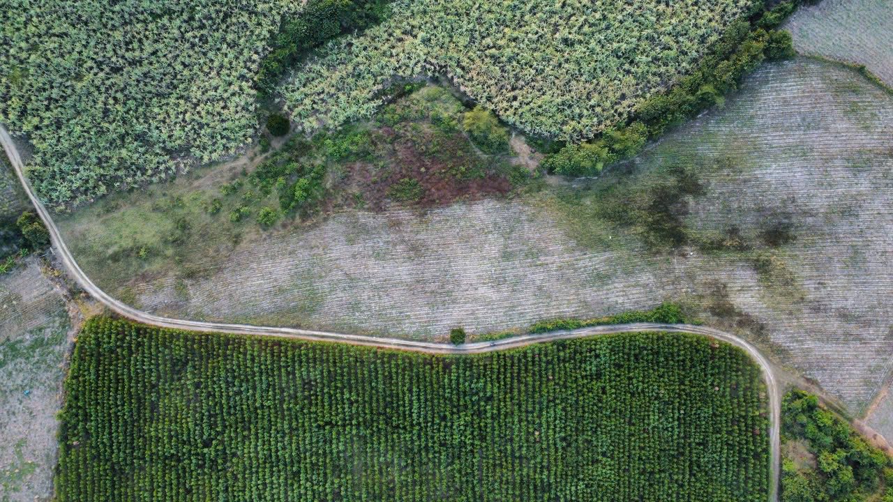 Đất vườn Ninh Thượng Ninh Hòa 750m² - Nghỉ dưỡng lý tưởng!