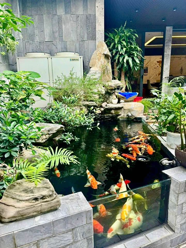 Townhouse Hồng Bàng 273m² 22.9 tỷ - Vị trí đắc địa