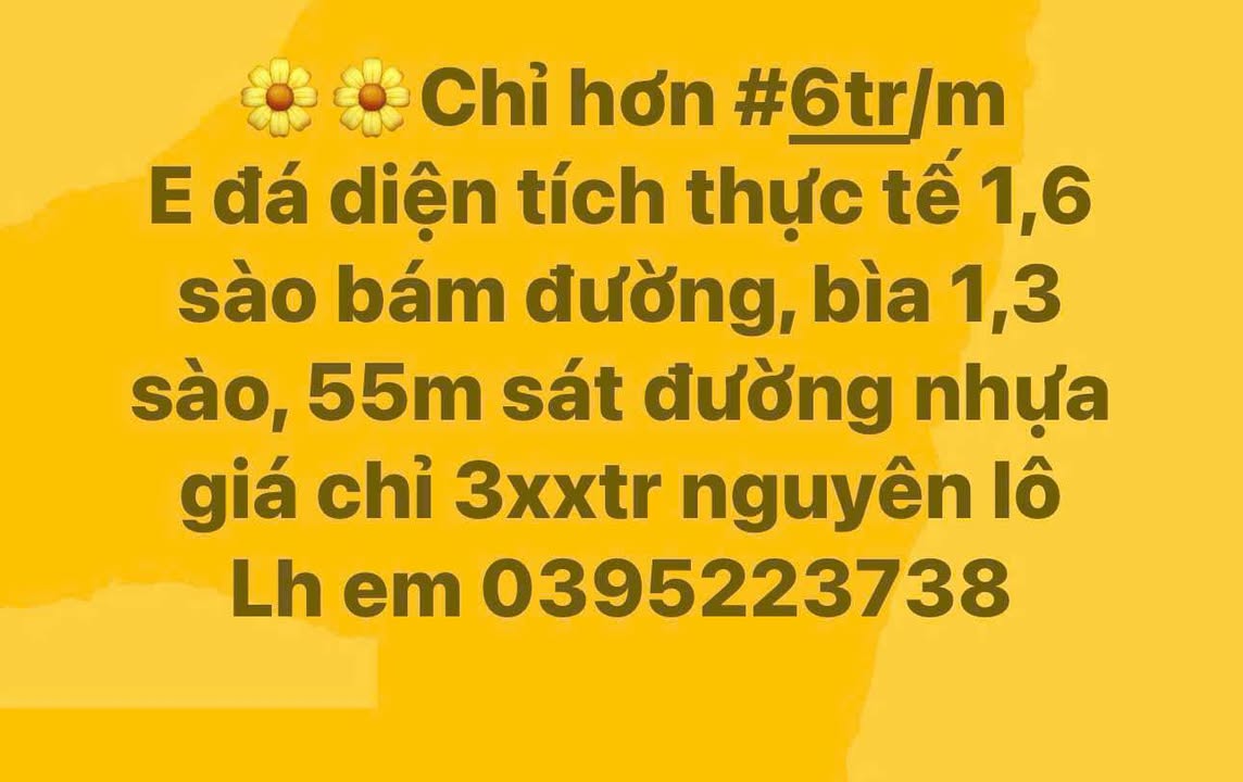 Đất nền Tuy Hòa 576m² chỉ từ 300 triệu - Sổ đỏ chính chủ!