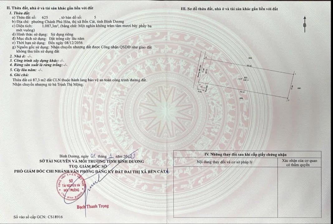 Đất nền Chánh Phú Hòa Bến Cát 1000m² - Tiềm năng tăng giá 4.5 tỷ