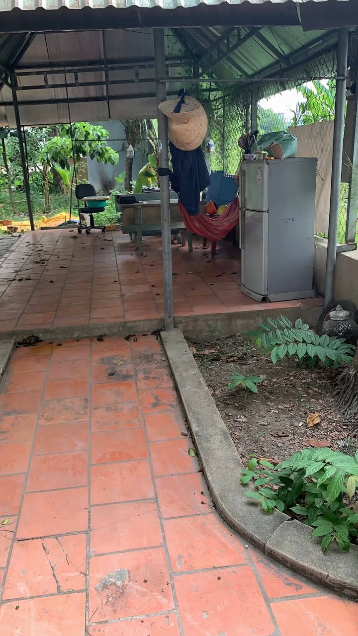 Nhà riêng Bình Nhâm 900m² giá 3.5 tỷ - Sẵn sàng ở ngay!