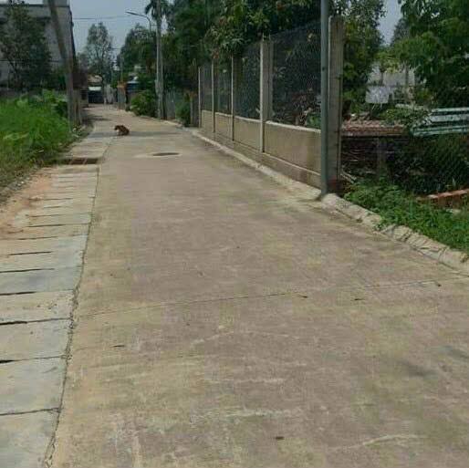 Đất nền Thủ Dầu Một 257m² – Sổ đỏ chính chủ, ô tô vào tận nơi!