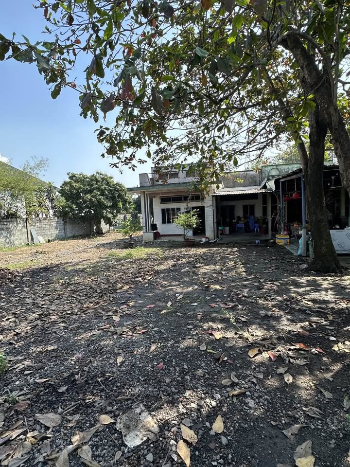 Đất nền Dương Công Khi Hóc Môn 1800m² - Tiềm năng tăng giá vượt trội!