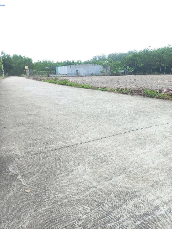 Đất nền Quận Bình Tân 500m² - Tiềm năng tăng giá vượt trội!